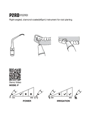 P2RD