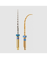 ProTaper GOLD SX, 19 мм, машинные файлы, стерильные, 6 шт.