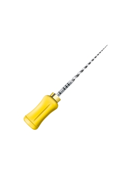 PROTAPER STER HU 31MM/F1 X6