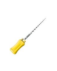 PROTAPER STER HU 31MM/F1 X6