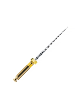 PROTAPER STER FIN.25MM/F1 X6