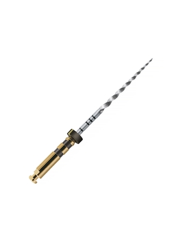PROTAPER STER FIN.25MM/F4 X6
