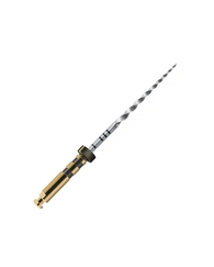 PROTAPER STER FIN.25MM/F4 X6