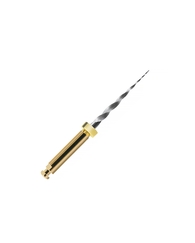 ProTaper SX, 19мм, машинні, 6 шт, дрильбори нікельтитанові