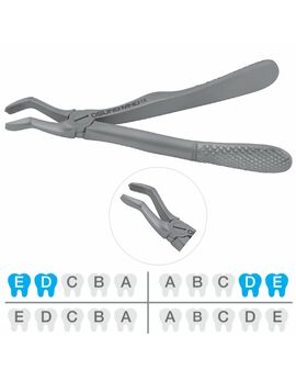 Dental Extraction Forceps FXX52C, Upper 765-567. Pedo/Child