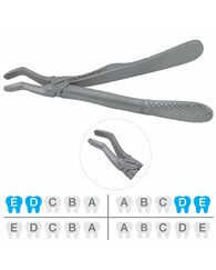 Dental Extraction Forceps FXX52C, Upper 765-567. Pedo/Child