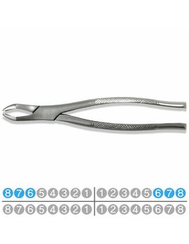 Extraction Forceps  FX10S UPPER MOLARS, Hu-friedy pattern