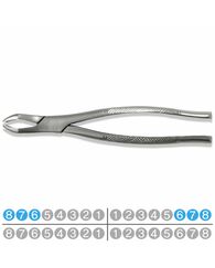 Extraction Forceps  FX10S UPPER MOLARS, Hu-friedy pattern