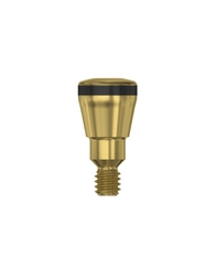 Healing Abutment EV (M) 2mm
