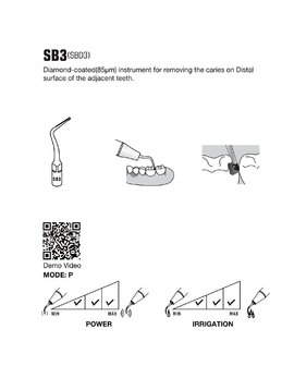 SB3