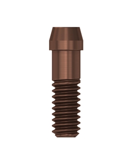 Abutment Screw EV (XL)