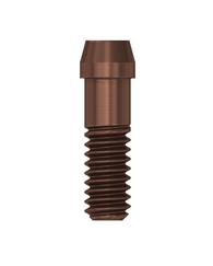 Abutment Screw EV (XL)