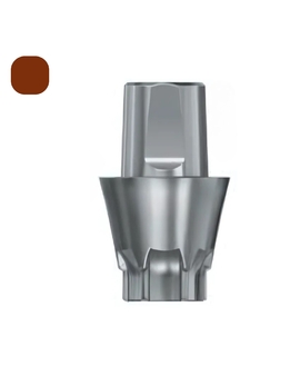 DS Implants™ TitaniumBase EV (XL) 2mm