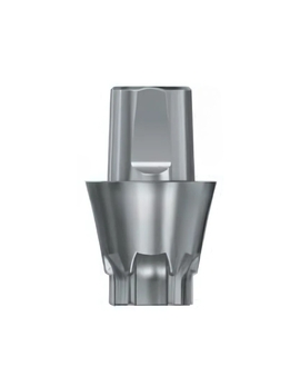 DS Implants™ TitaniumBase EV (XL) 2mm