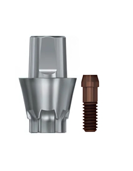 DS Implants™ TitaniumBase EV (XL) 2mm