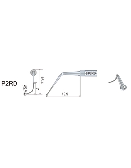 P2RD